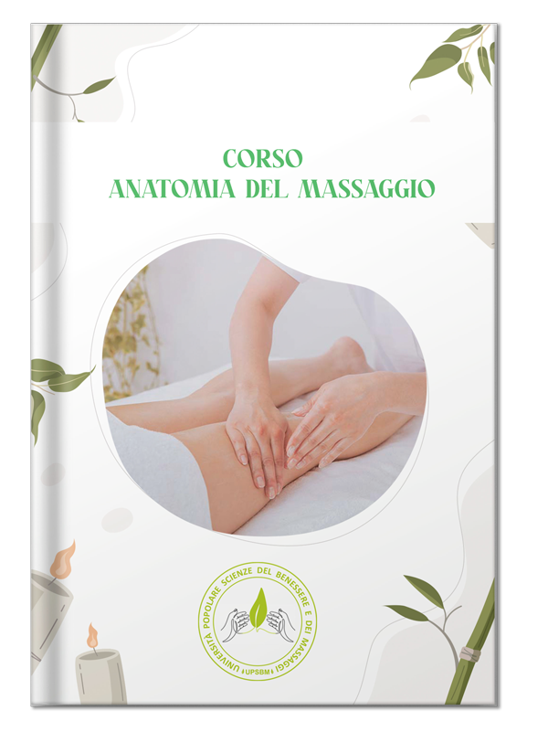 anatomia-del-massaggio-book anatomia-del-massaggio-book