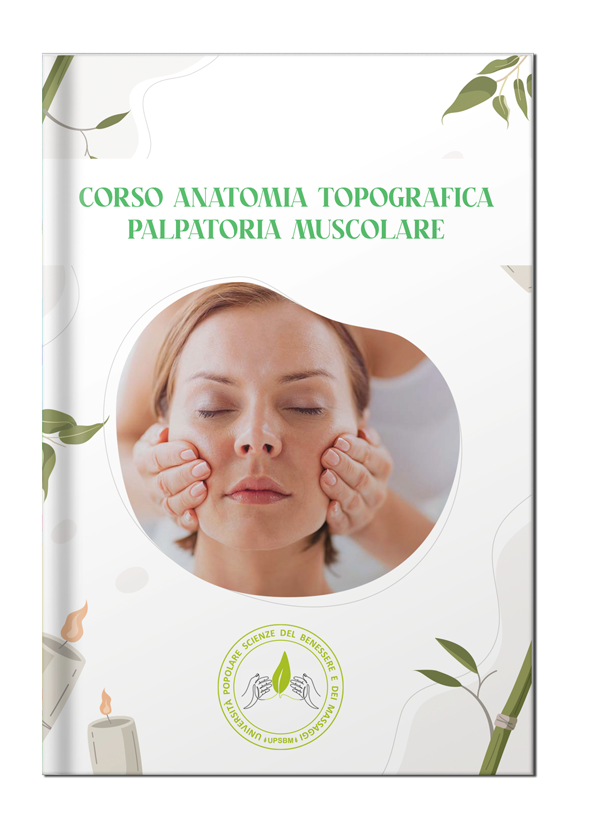 anatomia-palpatoria-book anatomia-palpatoria-book