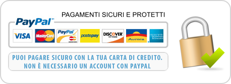 paypal3-458x168